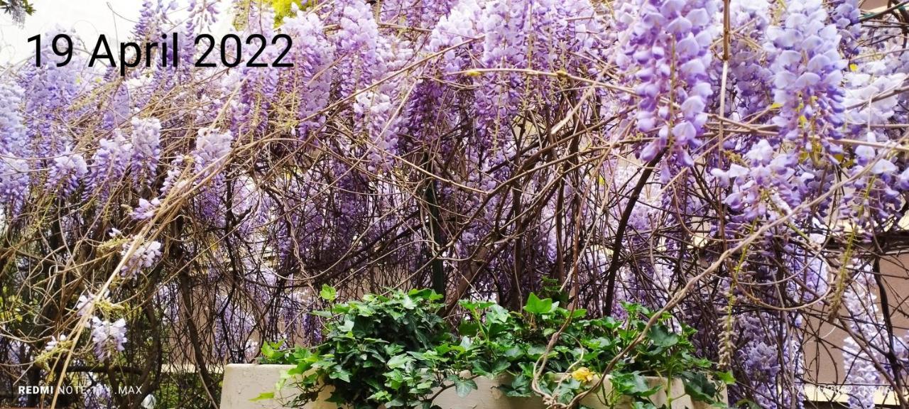 Garden House - Luxury Guest House - Overnight Stay Only Gasthuis Rome